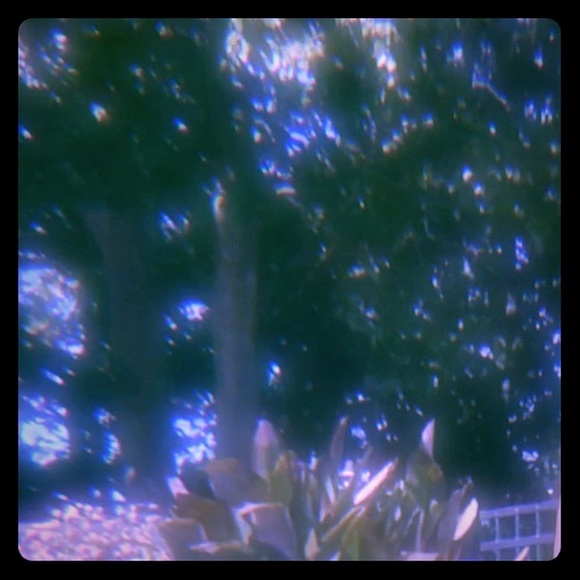 Meet your Posher, Taylor - Picture 1 of 1